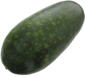 冬瓜