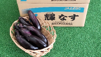 [B-1] なす『輝なす』４５本入り