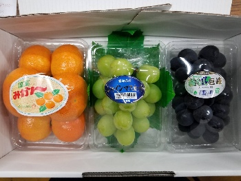 フルーツ詰め合わせ