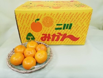 二川みかん 10ｋｇ Sサイズ