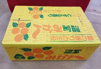 温室みかん5kg