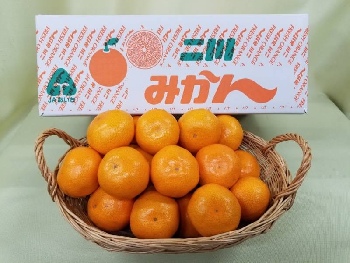 二川みかん 5ｋｇ Sサイズ