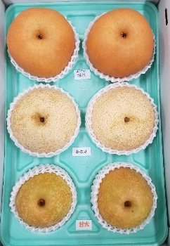 梨の食べ比べセット3種