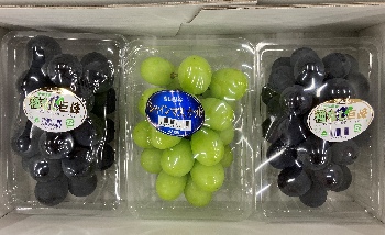 ぶどうセット