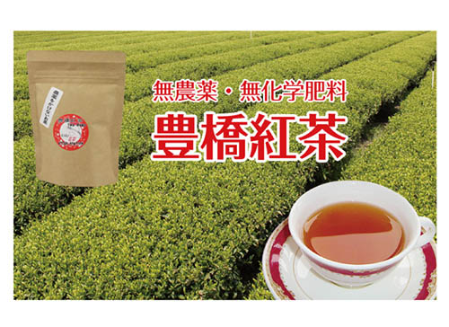 豊橋ブランド 豊橋紅茶